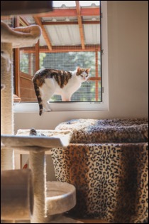 194834F6-0409-49AD-BD64-78E8BACCAEB0