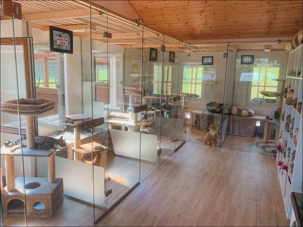 E6850898-6B29-4F6E-A120-95104D278125