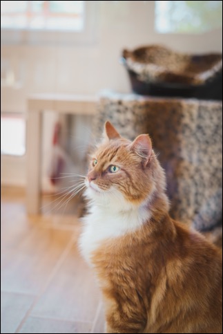 45FCD9FA-6FFD-418E-80F9-0419C5A400FE