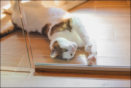 7C475C13-3EC6-4537-B5E2-AD019DF11B74