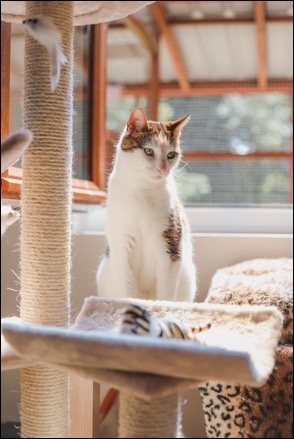 84043C60-1783-4602-84A0-3B8EC734D500